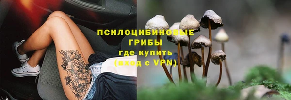 трава Балабаново