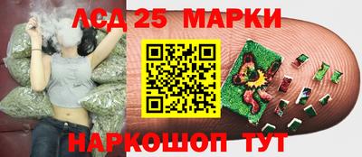 сатива Апшеронск