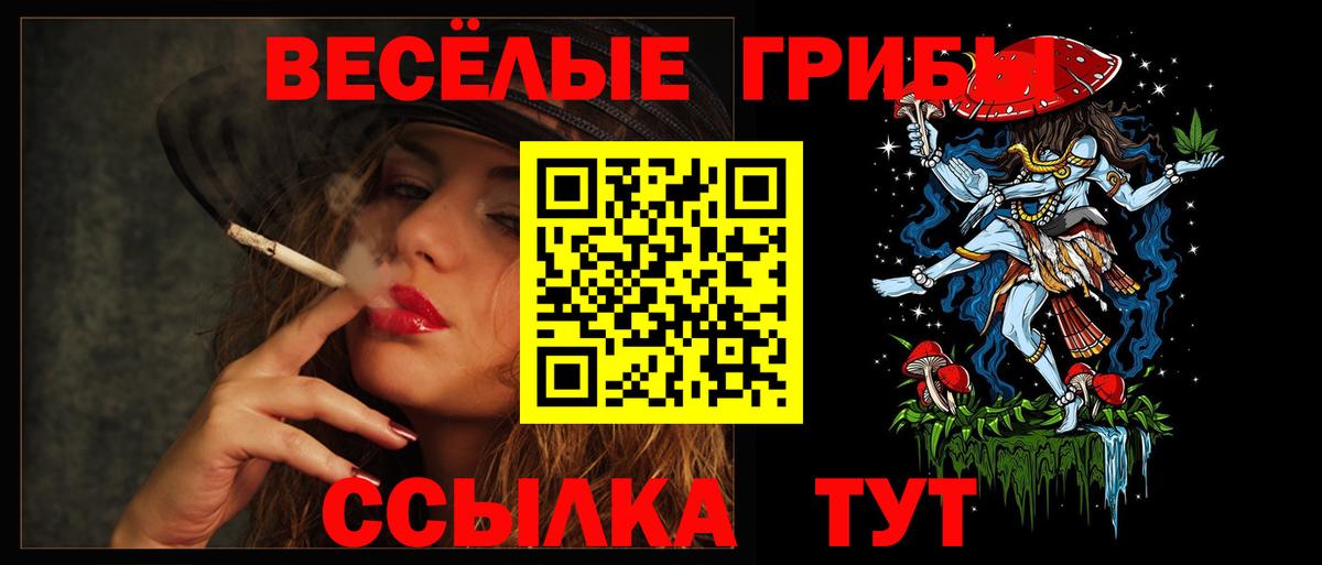 Галлюциногенные грибы Cubensis  Бугульма  Галлюциногенные грибы Psilocybe 