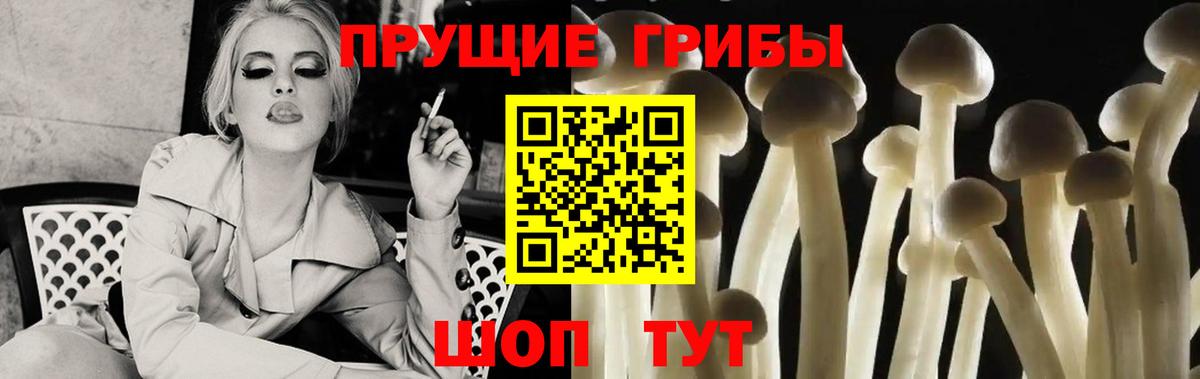 Бугульма  Псилоцибиновые грибы GOLDEN TEACHER  Вход с VPN 